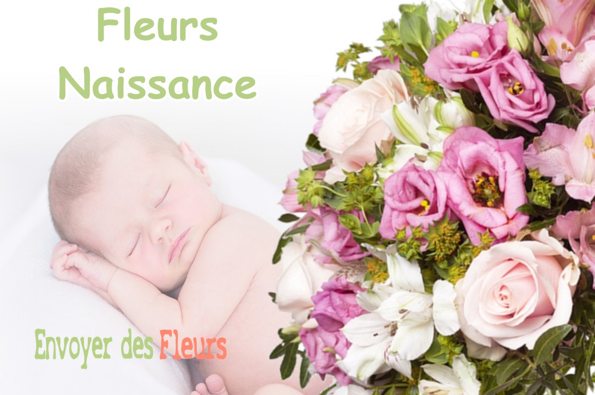 lIVRAISON FLEURS NAISSANCE à REITHOUSE